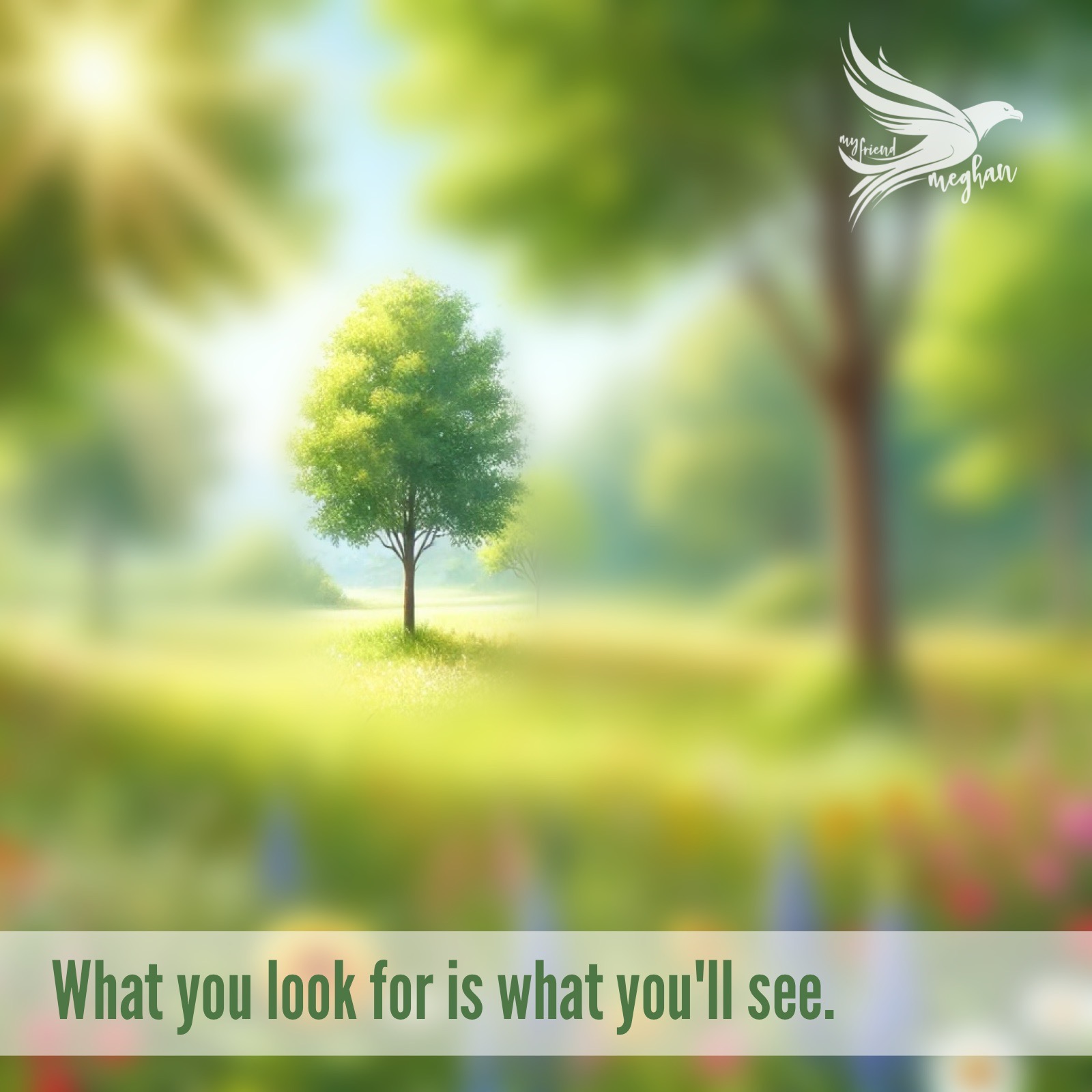 Focus Colors Perception