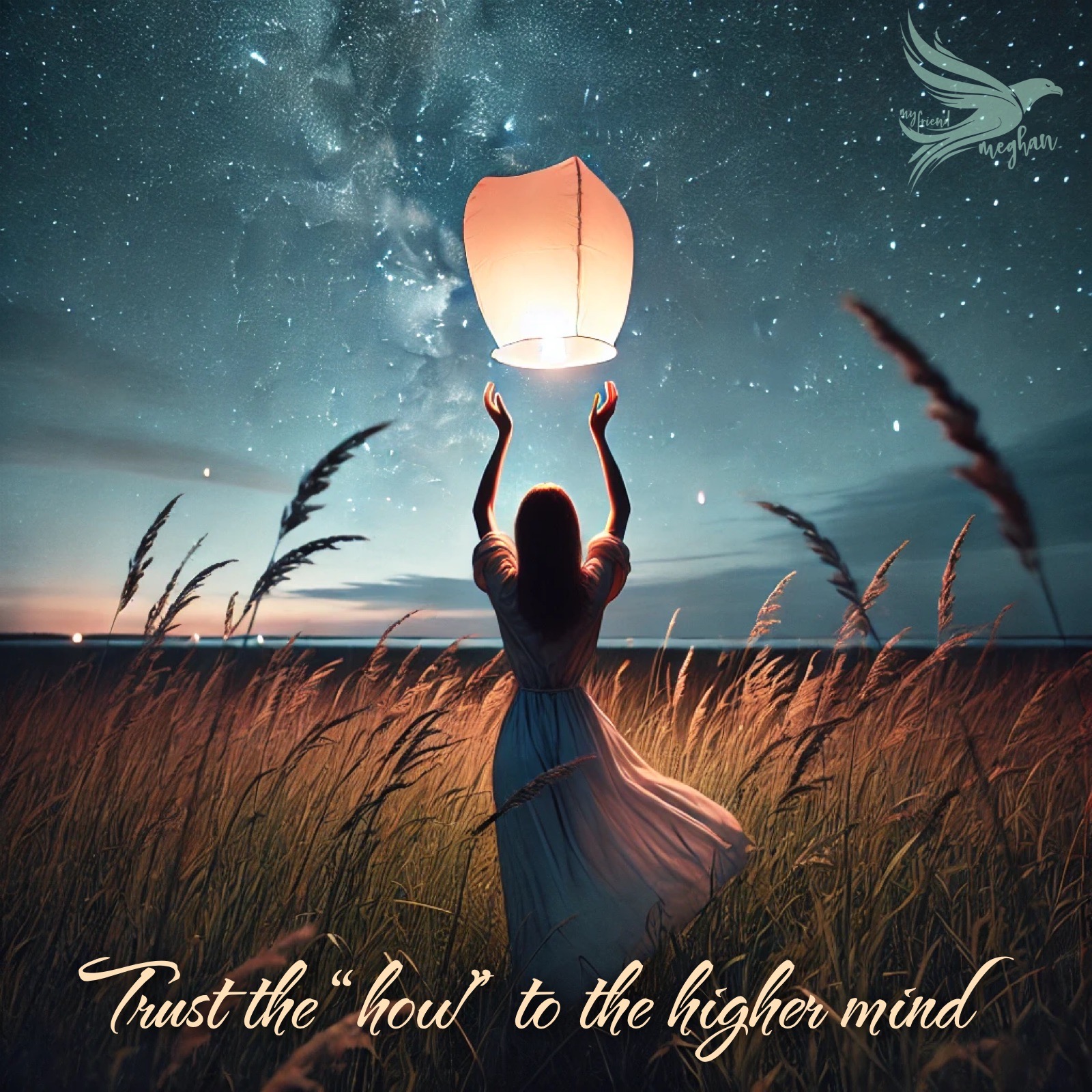 Contrasting Roles of the Physical and Higher Minds