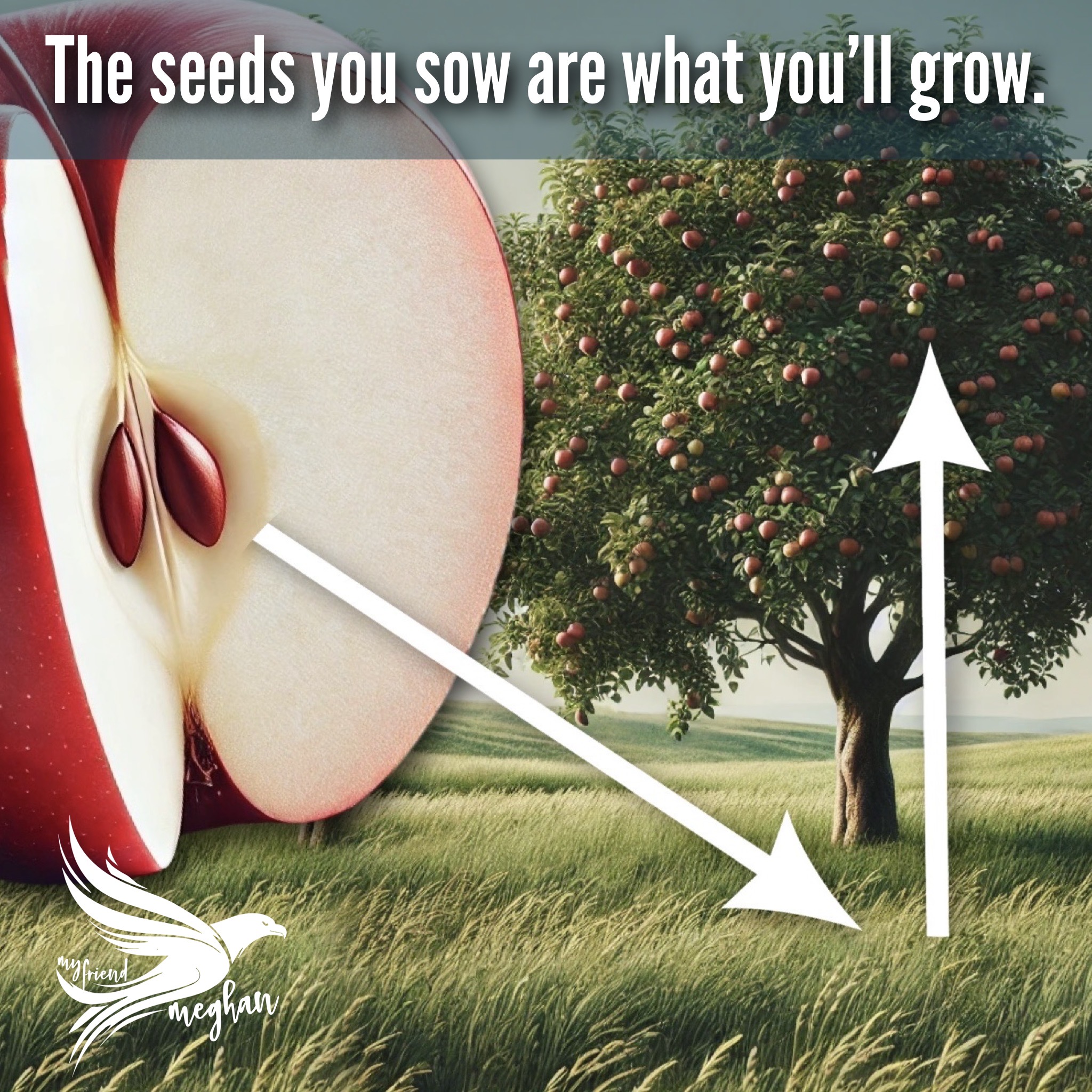 The Seeds You Sow: Forgiveness & Cause and Effect