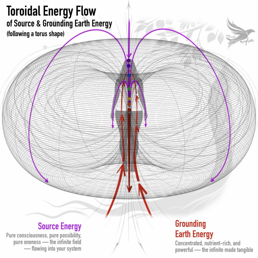 Toroidal Energy Flow (Diagram) of Source and Grounding Earth Energy (following a torus shape)A diagram of a toroidal energy flow. A female silhouette is centered against a background of stars in the upper left and a tree silhouette with roots and leaves on the right.Seven unlabeled energy center dots run vertically through the figure.Purple arrows indicate Source Energy entering through the crown, flowing down through the system, out through the fingertips, and expanding back out over the energy field. Red arrows indicate Grounding Earth Energy rising from the earth through the root, flowing upward through the centers, and returning back down and out through the root.Overlaid on the figure are two toroidal field graphics — one illustrative and sketchy, connecting visually to the red and purple energy flows, and one rendered as a clean donut shape — showing that together these two flows trace a continuous toroidal field.Lower left in purple: "Source Energy — pure consciousness, pure possibility, pure oneness — the infinite field — flowing into your system." Lower right in red: "Grounding Earth Energy — concentrated, nutrient rich, and powerful — the infinite made tangible."
